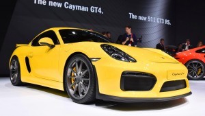 2015 Porsche Cayman GT4 14