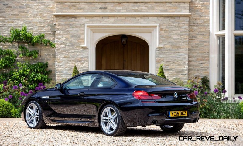 2015 BMW 6 series 19