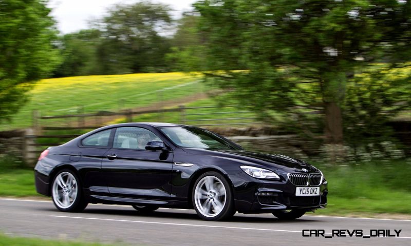 2015 BMW 6 series 21