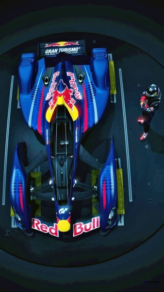 2010 Red Bull X1 32