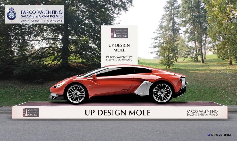 2015 UP Design Mole 5