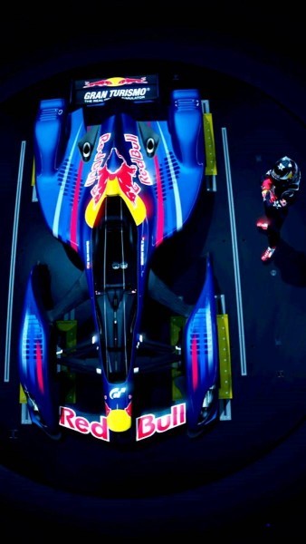 Red Bull X2010 10