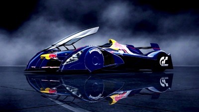 Red Bull X2010 13