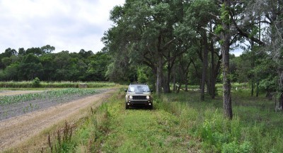 2015 Jeep RENEGADE Trailhawk Review 47