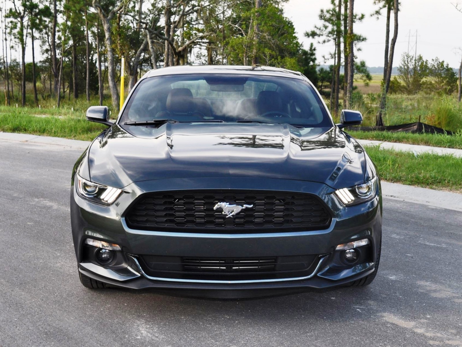 2015 Ford Mustang EcoBoost Automatic Review 15