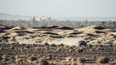 Carlos Sainz - Action