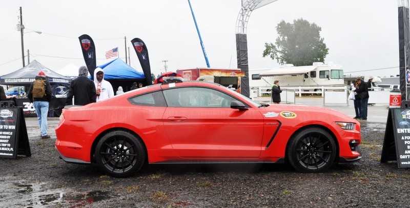 2016 SHELBY GT350 Ford Mustangs Snapped in Flesh at Petit Le Mans 10