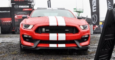 2016 SHELBY GT350 Ford Mustangs Snapped in Flesh at Petit Le Mans 27