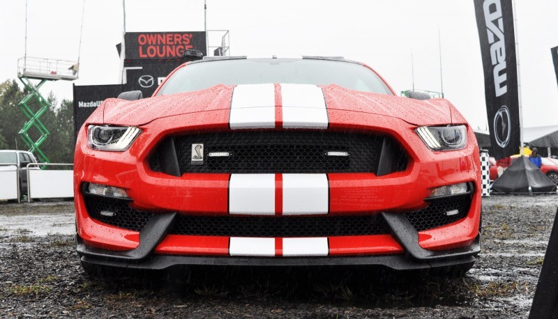 2016 SHELBY GT350 Ford Mustangs Snapped in Flesh at Petit Le Mans 29