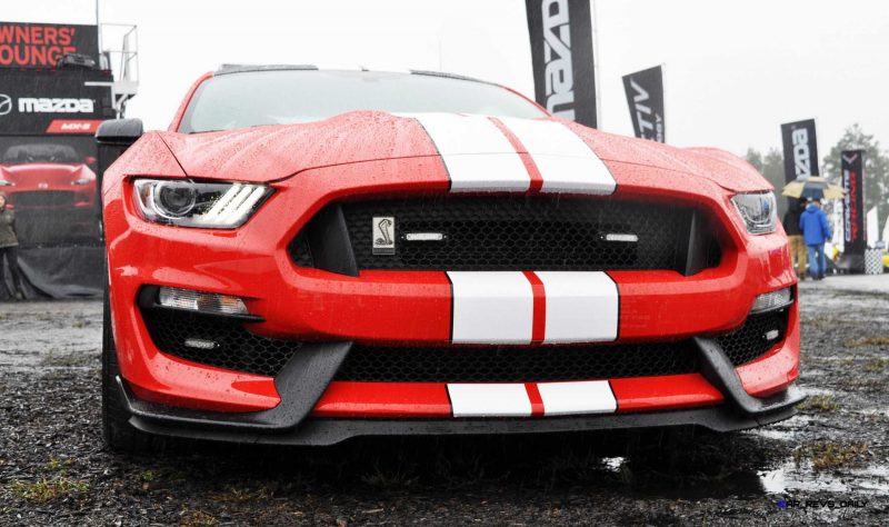 2016 SHELBY GT350 Ford Mustangs Snapped in Flesh at Petit Le Mans 30