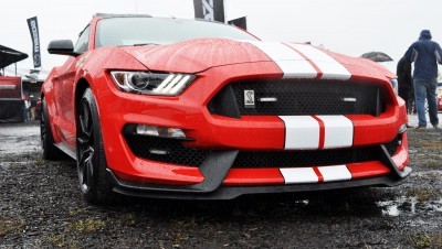 2016 SHELBY GT350 Ford Mustangs Snapped in Flesh at Petit Le Mans 31