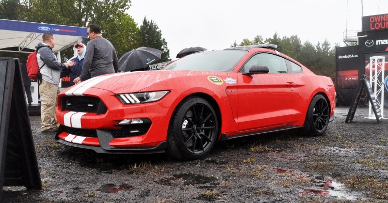 2016 SHELBY GT350 Ford Mustangs Snapped in Flesh at Petit Le Mans 33