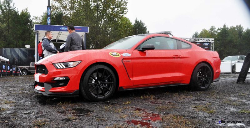 2016 SHELBY GT350 Ford Mustangs Snapped in Flesh at Petit Le Mans 34