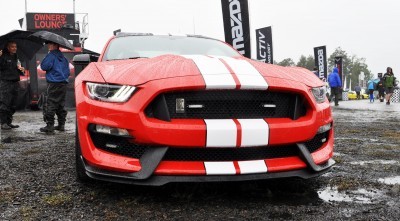 2016 SHELBY GT350 Ford Mustangs Snapped in Flesh at Petit Le Mans 37