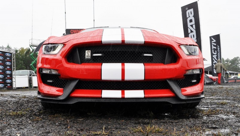 2016 SHELBY GT350 Ford Mustangs Snapped in Flesh at Petit Le Mans 39