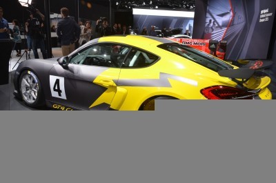 2015 LA Auto Show Photos 45