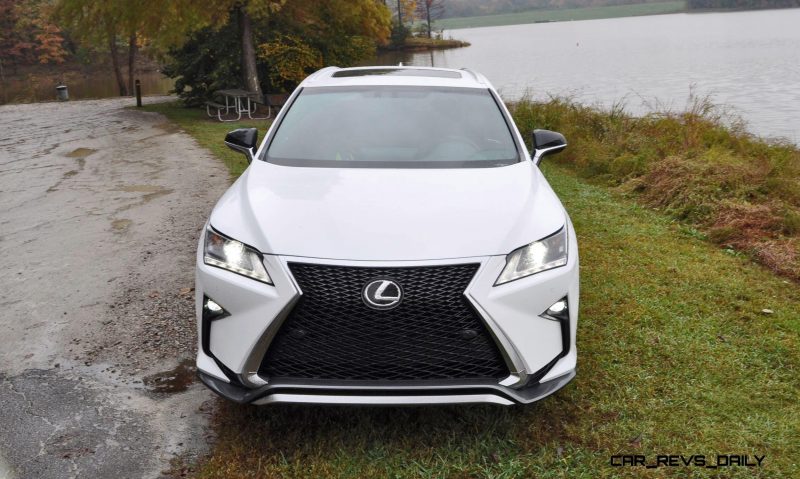 2016 Lexus RX350 F Sport 19