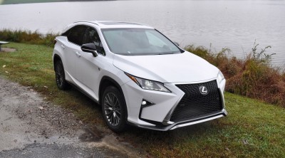 2016 Lexus RX350 F Sport 45