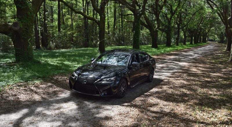 2016 Lexus GSF - South Carolina Angel Oaks 14