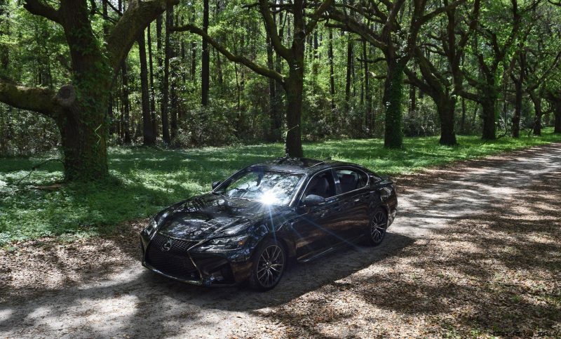 2016 Lexus GSF - South Carolina Angel Oaks 15