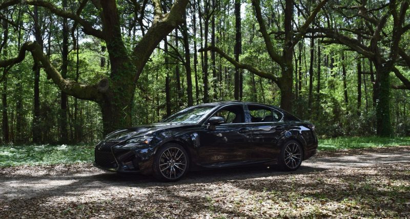 2016 Lexus GSF - South Carolina Angel Oaks 16