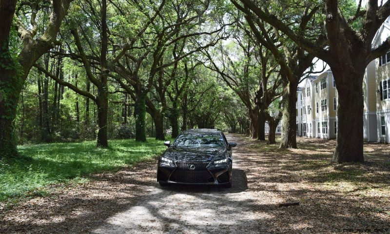 2016 Lexus GSF - South Carolina Angel Oaks 2