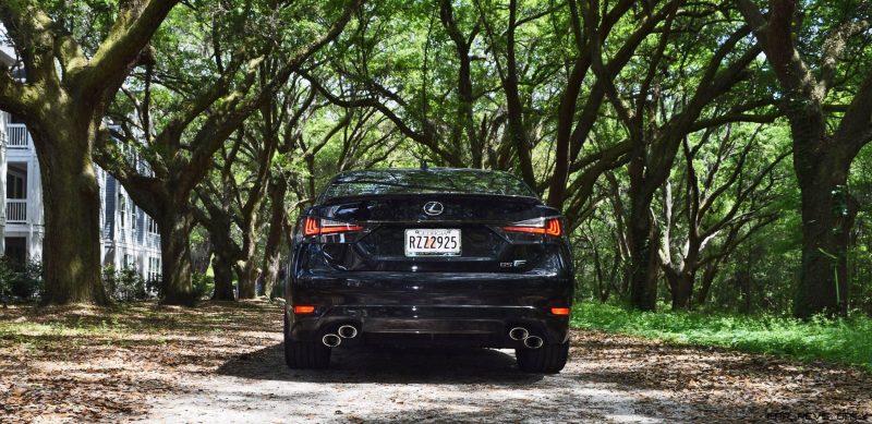 2016 Lexus GSF - South Carolina Angel Oaks 23