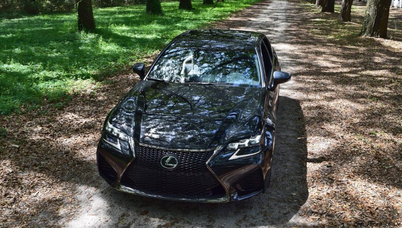 2016 Lexus GSF - South Carolina Angel Oaks 31