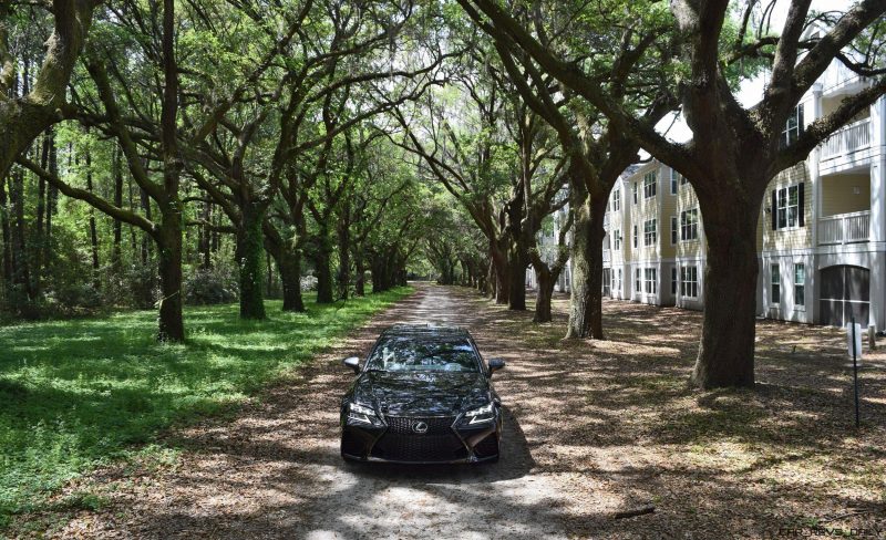 2016 Lexus GSF - South Carolina Angel Oaks 4