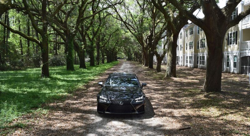 2016 Lexus GSF - South Carolina Angel Oaks 5