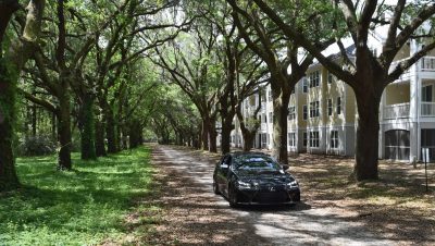 2016 Lexus GSF - South Carolina Angel Oaks 6