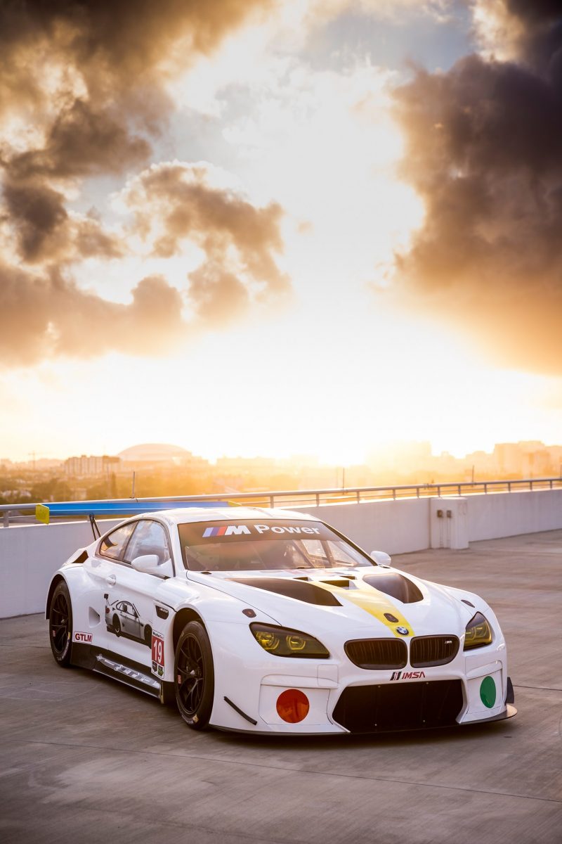 John Baldessari BMW M6 GTLM Art Car #19