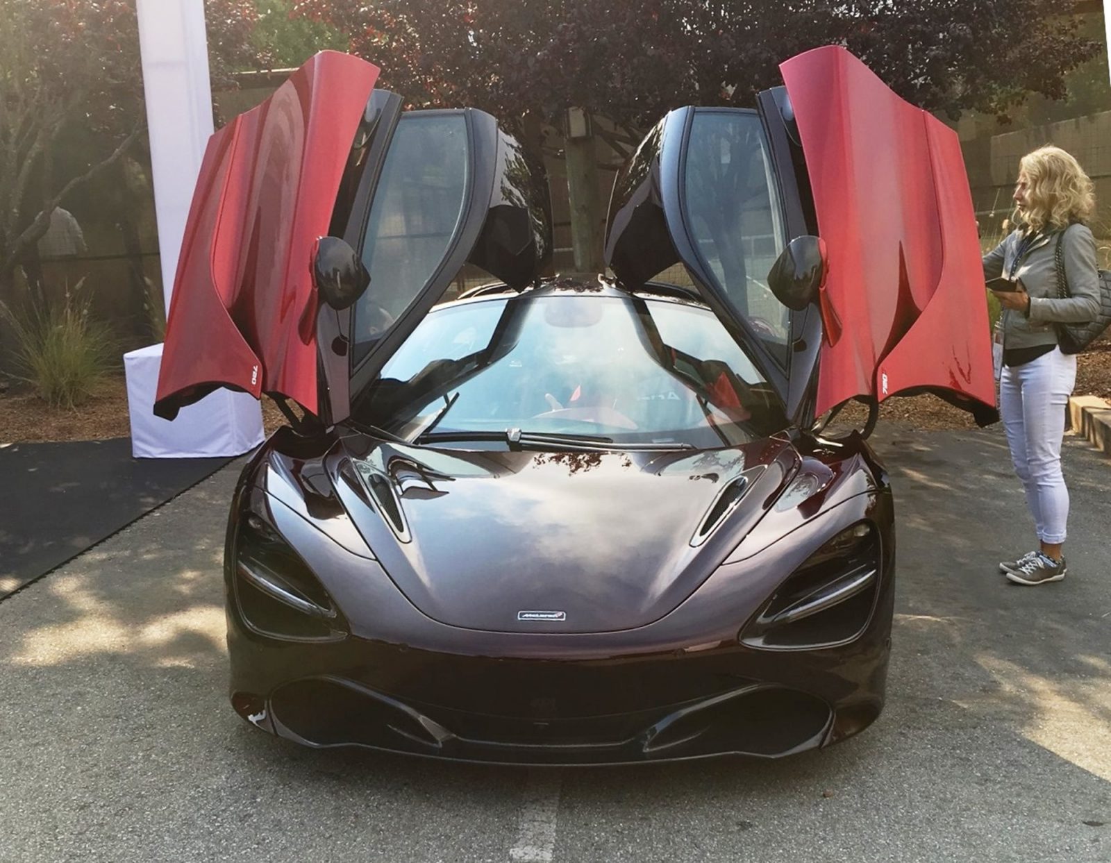 MCLAREN MADNESS - 2017 Pebble Beach VIP Villa 58