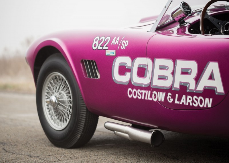 RM Arizona 2016 - 1963 Shelby 289 Cobra DRAGONSNAKE  8
