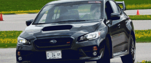 STI Gif header 20152